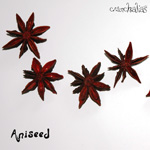 Cover art for Aniseed