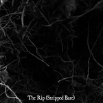 Cover art for The Rip (Stripped Bare)